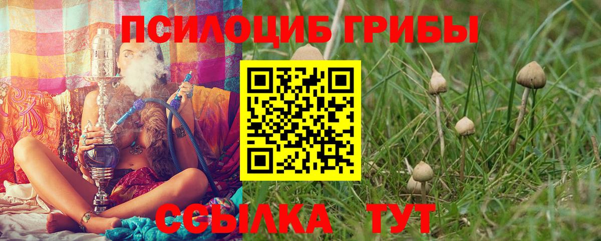 Медногорск  Галлюциногенные грибы MAGIC MUSHROOMS  Вход с VPN 
